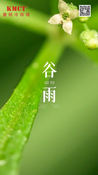 雨生百谷，滋润万物